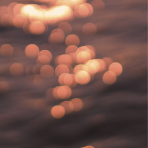 日本yx×做爰视频无码
